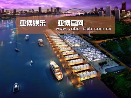 案例展示八