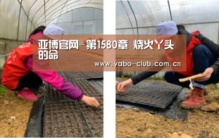 亚博官网-第1580章 烧火丫头的命(图2) 亚博娱乐