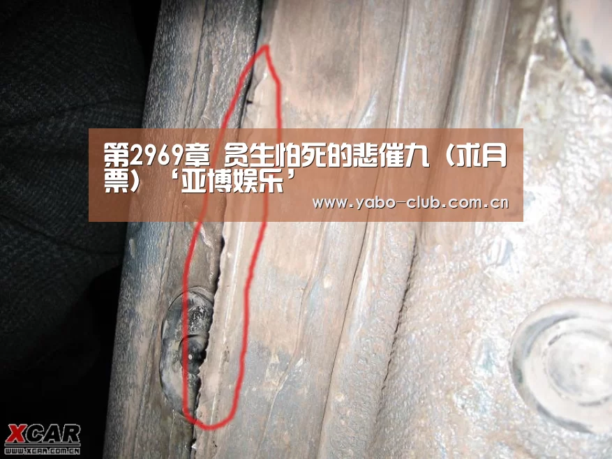 第2969章 贪生怕死的悲催九(求月票)‘亚博娱乐’(图3) 亚博官网